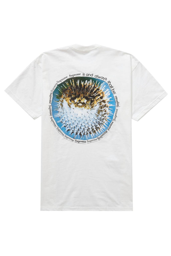 Supreme Blowfish Tee White